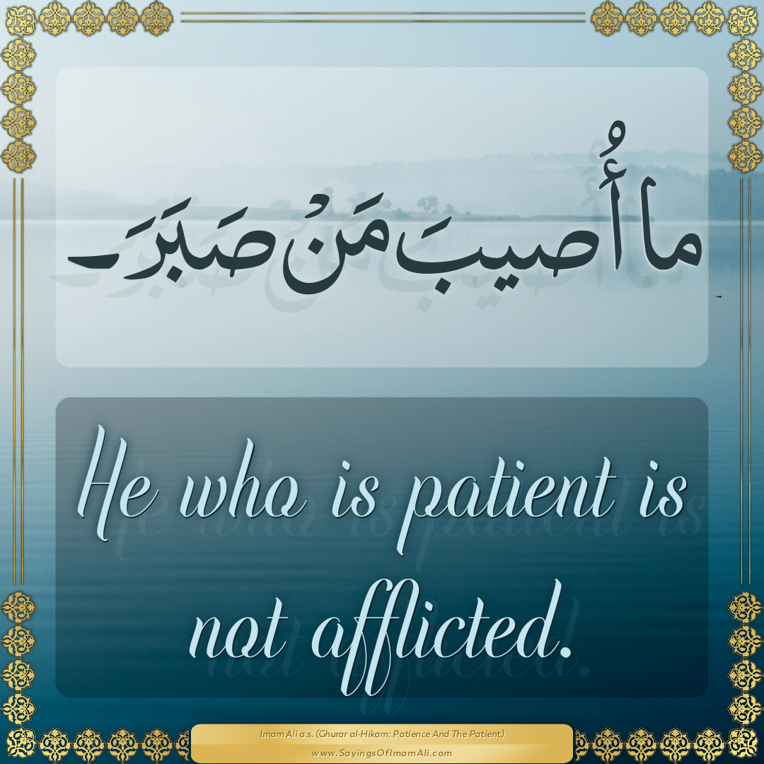 He who is patient is not afflicted.